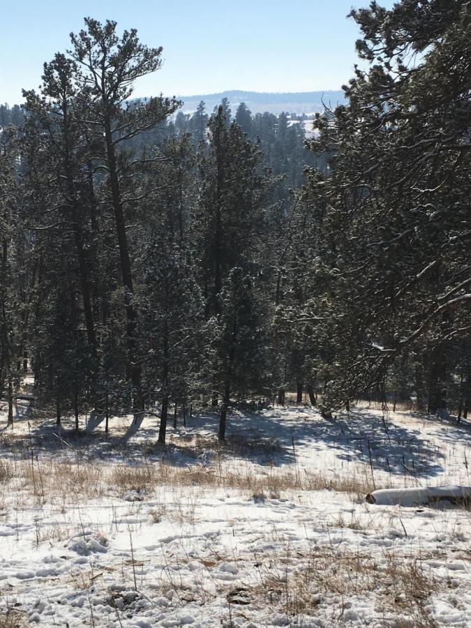 Priceless Black Hills View 拉皮德城 外观 照片