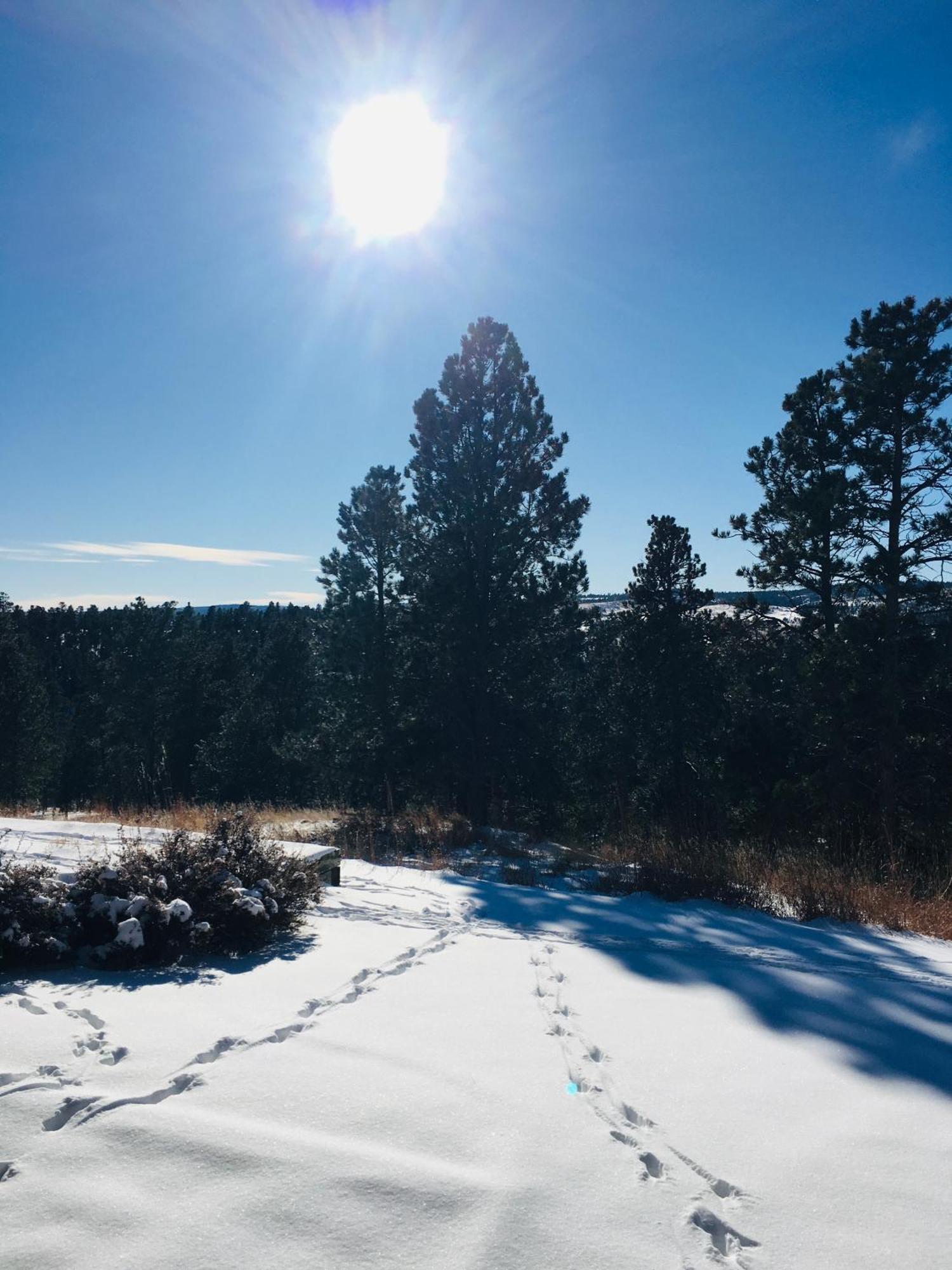 Priceless Black Hills View 拉皮德城 外观 照片