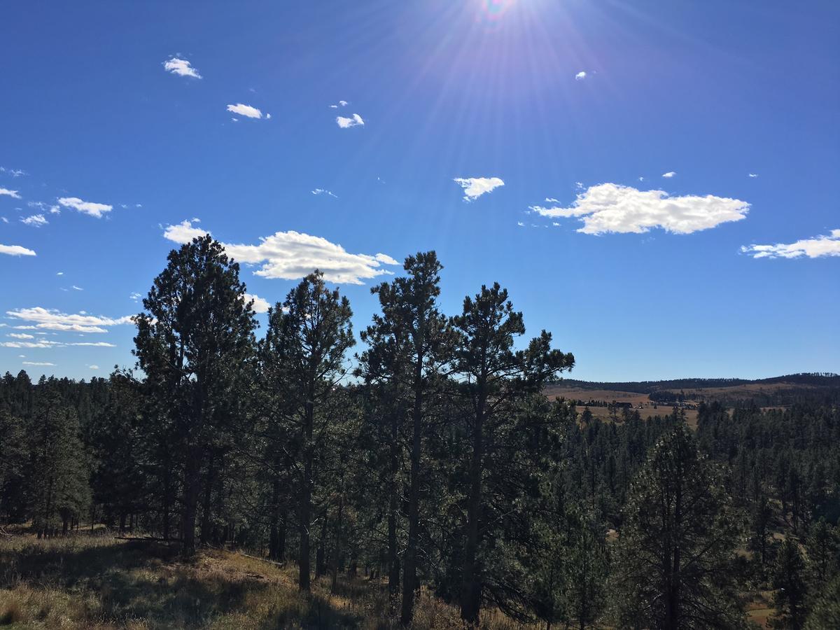 Priceless Black Hills View 拉皮德城 外观 照片